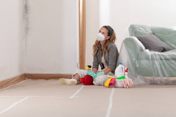 Reliable Mold Remediation contractor in Huntington, NY by Cheap Mold Removal